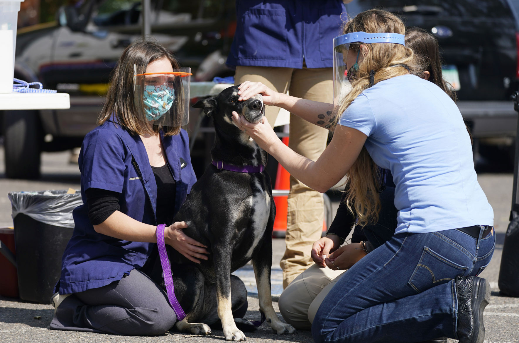 Colorado Pet Care